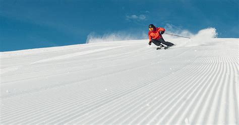 Grafica che mostra il movimento degli sci durante il carving