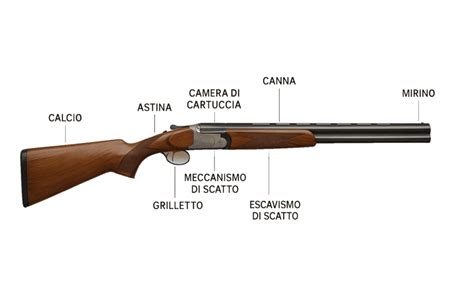 Schema che illustra le parti principali di una carabina da biathlon