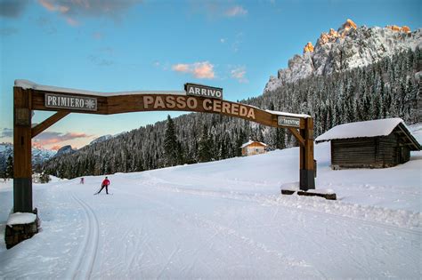 Schema delle piste del Centro Fondo Passo Cereda con indicazione delle difficoltà