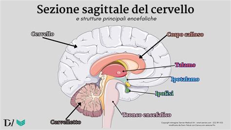 Illustrazione dettagliata del dispositivo di sigillatura con le sue componenti