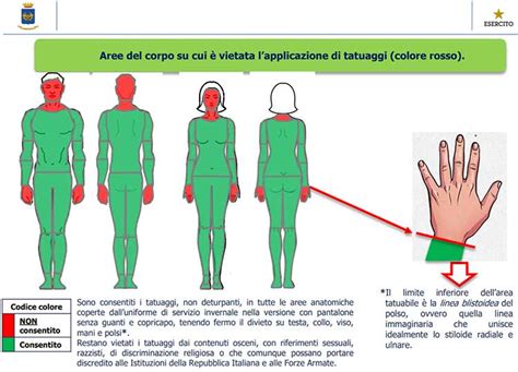 Illustrazione che mostra le diverse aree del corpo umano potenzialmente interessate dagli effetti delle emissioni elettromagnetiche.