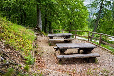 Immagine di un rifugio accogliente con piatti tipici della montagna