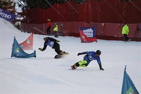 Grafica con le discipline e le categorie dei Campionati Mondiali di Snowboard