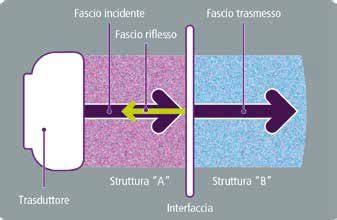 Schema di funzionamento di un ARTVA con indicazione delle modalità trasmissione e ricerca