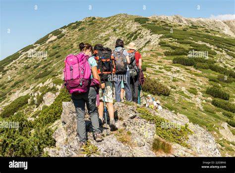 coppia di escursionisti con ciaspole che camminano su un sentiero innevato in una pineta