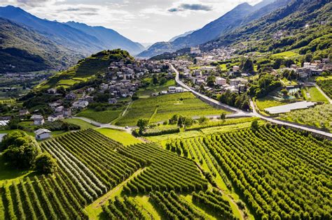 panoramica invernale della Valtellina con montagne innevate e sentieri per ciaspolate