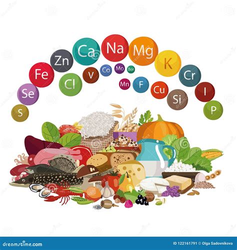 Illustrazione di prodotti freschi e biologici disponibili da MD