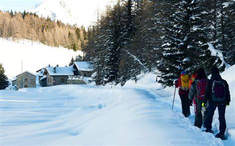 Percorso escursionistico con ciaspole verso il Rifugio Mollino, con neve fresca e alberi imbiancati