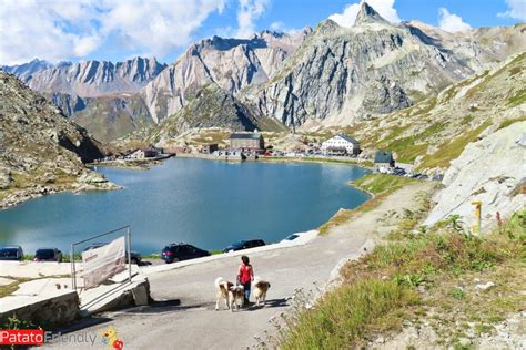 Panoramica della strada del Colle del Gran San Bernardo in inverno