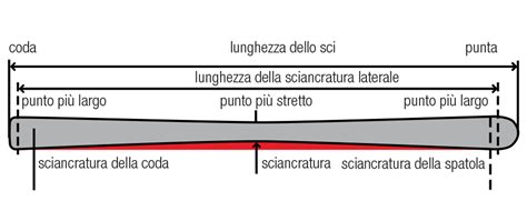 Illustrazione comparativa della sciancratura di sci da slalom e slalom gigante