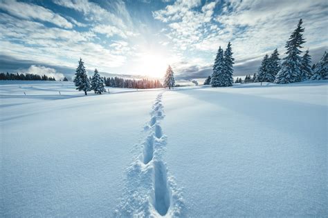coppia che fa ciaspolate in un paesaggio innevato