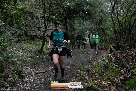 ciclista in azione su un single trail nel bosco