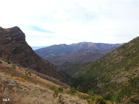 Vista panoramica del vallone del Rio Ferriere con la Serra del Bal in lontananza