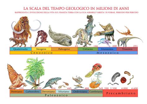 Evoluzione delle forme delle piccozze nel tempo, dalle accette primitive ai modelli moderni.