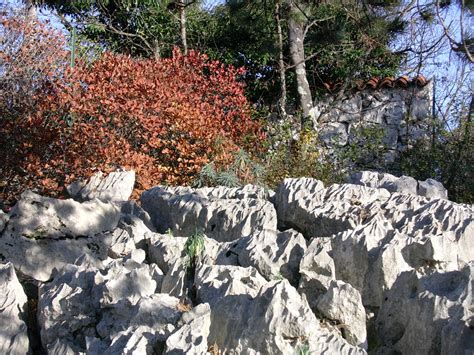 Paesaggio tipico del Carso con doline e rocce calcaree