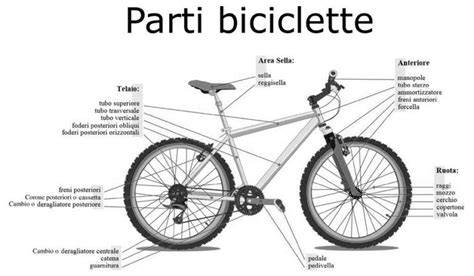 Schema di uno skiroll con le sue componenti principali: spatola, ruote, attacchi e bastoncini.