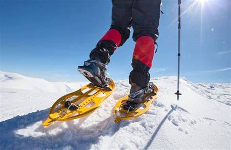 Primo piano di ciaspole e bastoncini da trekking su sfondo innevato
