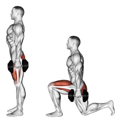 Schema che illustra gli esercizi del Giorno 1: Affondi frontali, Squat con bilanciere, Leg extension, Addominali alti, Plank e Balzi laterali.