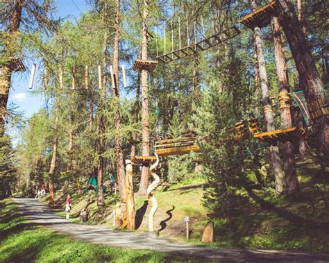 Vista panoramica del Larix Park con persone che si muovono tra gli alberi sui percorsi avventura