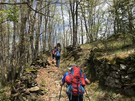 Sezione ripida di un sentiero di montagna con corda d'acciaio per l'assistenza