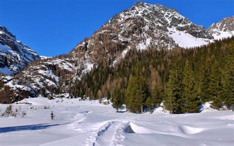 Sentiero pianeggiante lungo un torrente innevato, circondato da boschi