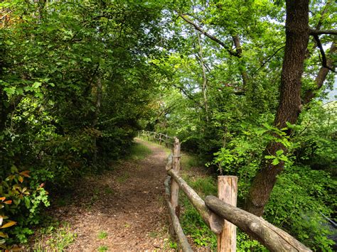 Sentiero nel bosco che porta alle Baite di Fochin, con scorci panoramici