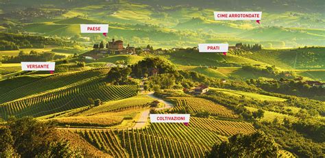Paesaggio collinare della regione del Prosecco