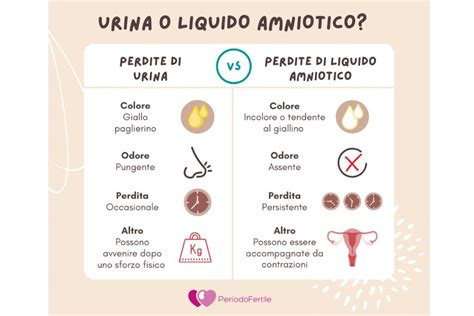 schema che illustra le differenze tra perdite da leucorrea e perdita di liquido amniotico
