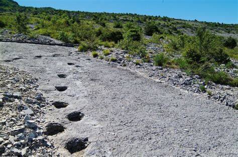 vista aerea del sito dei Lavini di Marco con le tracce dei dinosauri