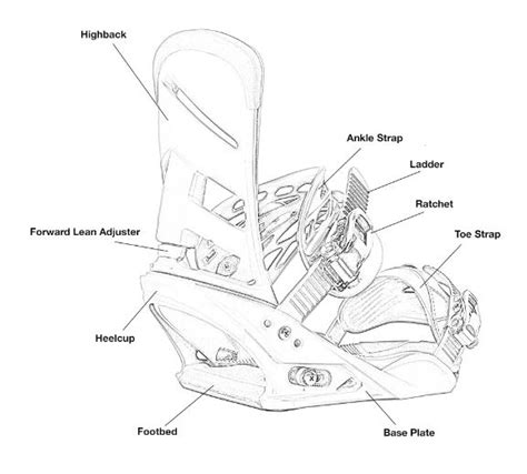 Illustrazione dettagliata dei componenti di un attacco da snowboard: baseplate, highback, straps (anklestrap e toe strap), cricchetto, dischi