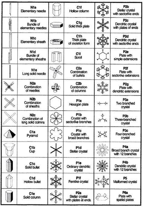 Schema che illustra i diversi tipi di neve su cui si può praticare il freeride
