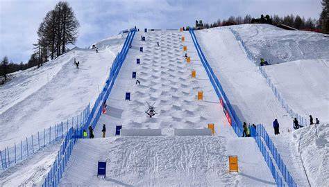 Illustrazione di una pista da snowboard con gobbe di varie dimensioni.