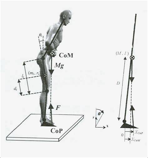 Schema che illustra il movimento del centro di massa avanti e indietro su uno snowboard.