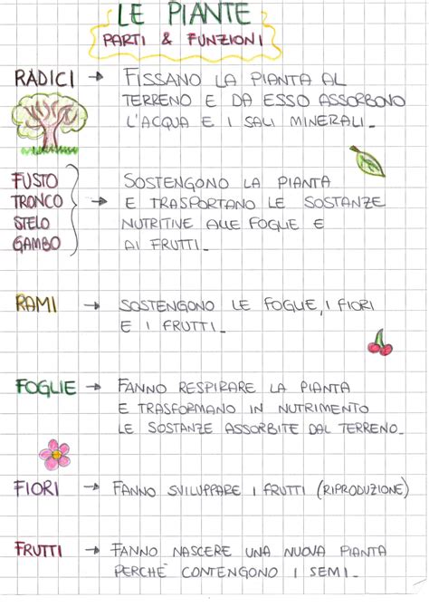 Illustrazione che mostra le diverse parti di uno snowboard e le loro funzioni