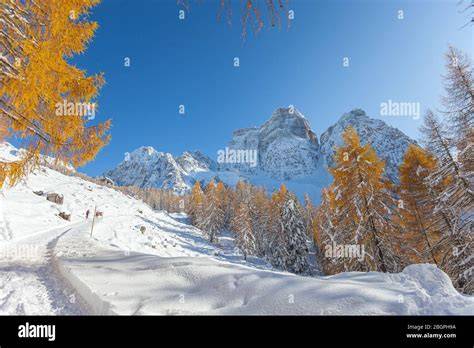 panorama invernale delle Dolomiti con sentiero innevato