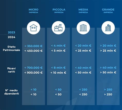 Infografica che illustra la classificazione di Seggiovia Srl come microimpresa